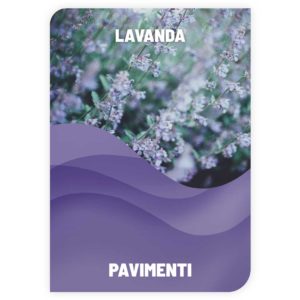 LAVAPAVIMENTI<br>LAVANDA<br>COD: DSMS5 <br> 1.40 € / KG