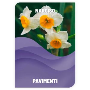 LAVAPAVIMENTI<br>NARCISO<br>COD: DSMS8<br>1,40 € / KG