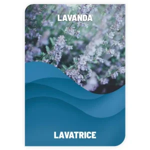 DETERSIVO PER BUCATO <br> LAVANDA <br> COD: DBS19 <br> 1.70 €/KG