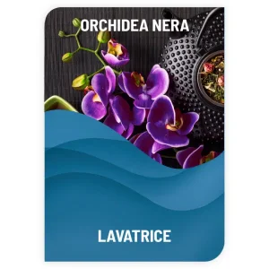 DETERSIVO PER BUCATO <br> ORCHIDEA NERA <br> COD: DBS29 <br> 1.70 €/KG