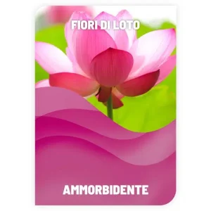 AMMORBIDENTE <br> FIOR DI LOTO <br> COD: ABS10